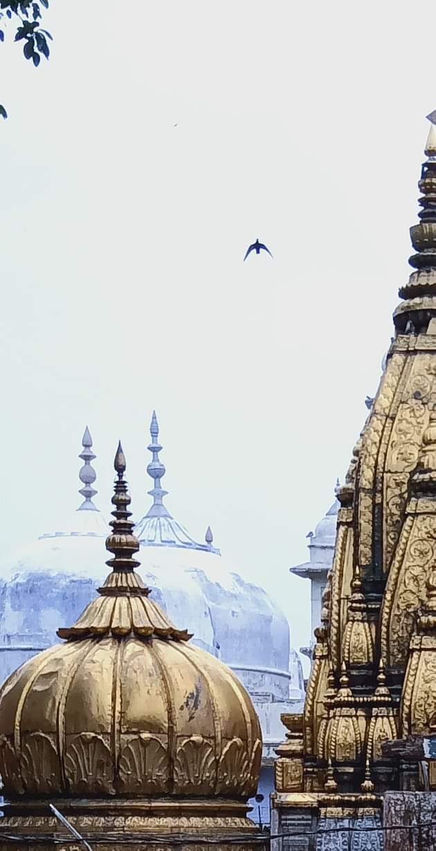 Kashi Vishwanath temple